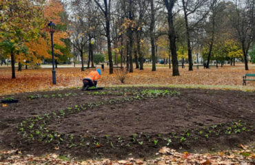 kwiaty-nasadzenia-jesienne (2)