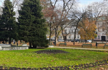 kwiaty-nasadzenia-jesienne (4)