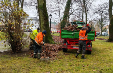 jesienne-grabienie-lisci (1)