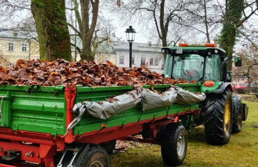 jesienne-grabienie-lisci (3)