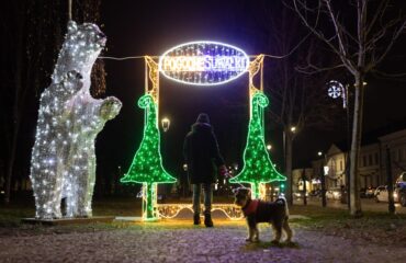 iluminacje-swietlne-2024 (2)