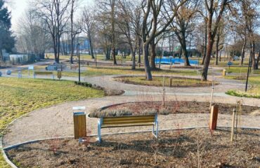 porzadki-w-miejskiej-zieleni (4)