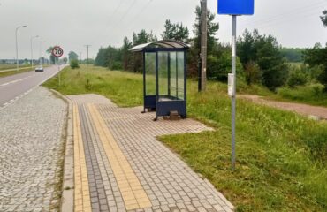 prace-zdiz-czerwiec (1)