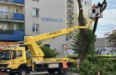 wycinka-drzewa-noniewicza (1)