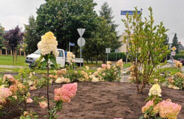 powstańców-wielkopolskich (1)