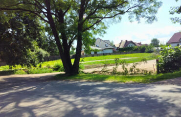 skutki-wichury-suwalki (1)
